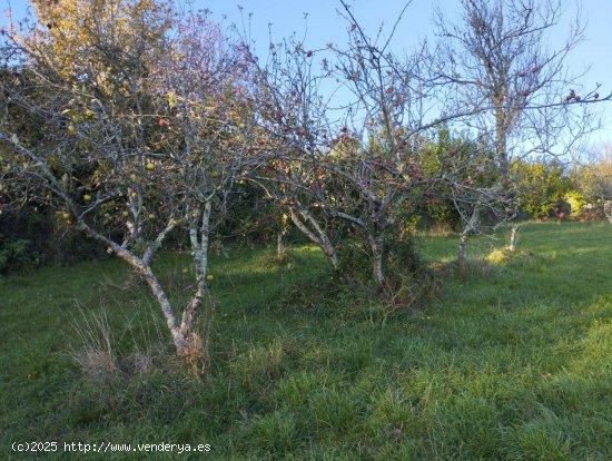 Finca en venta en Cabanas (La Coruña)