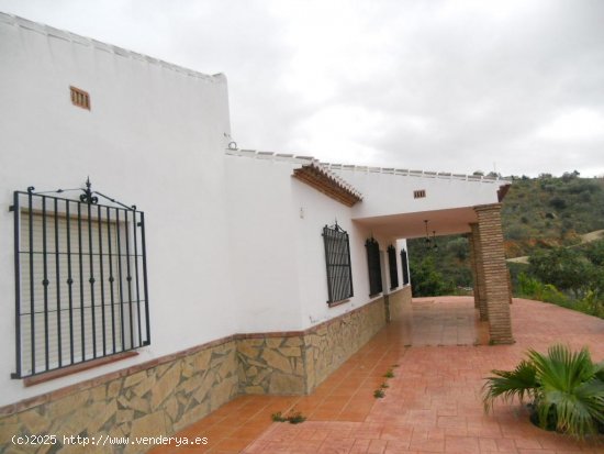 Finca en venta en Canillas de Aceituno (Málaga)