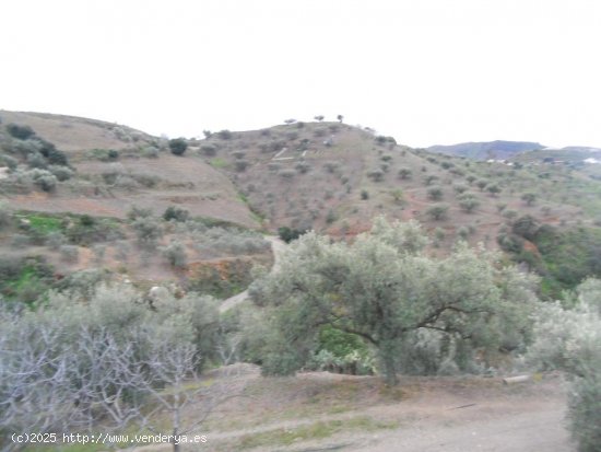 Finca en venta en Canillas de Aceituno (Málaga)