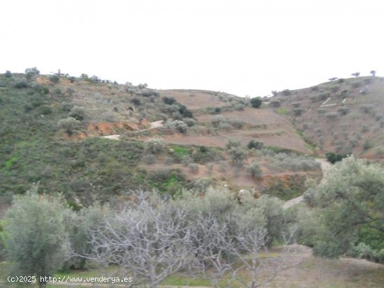 Finca en venta en Canillas de Aceituno (Málaga)