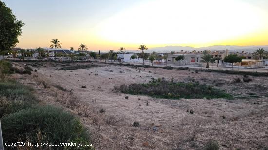  SE VENDE PARCELA EN LA URBANIZACIÓN DE LA QUINTA DE MOLINA DE SEGURA - MURCIA 