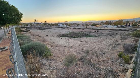 SE VENDE PARCELA EN LA URBANIZACIÓN DE LA QUINTA DE MOLINA DE SEGURA - MURCIA