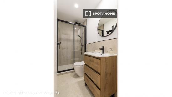 Amplia habitación con baño privado y cocina cerca de Moncloa, Madrid - MADRID