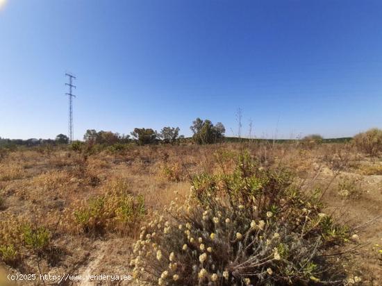 Se Vende en Burguillos de Sevilla - SEVILLA