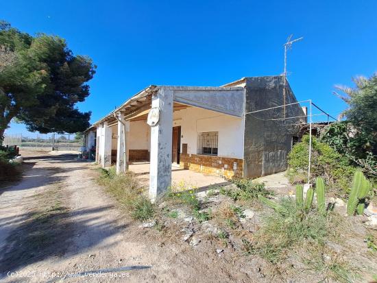  Casa de Campo con 3 Habitaciones en las Bayas, Elche. - ALICANTE 