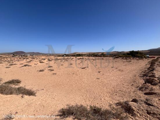 TERRENO RUSTICO EN LA ROSA VIEJA LAJARES - LAS PALMAS