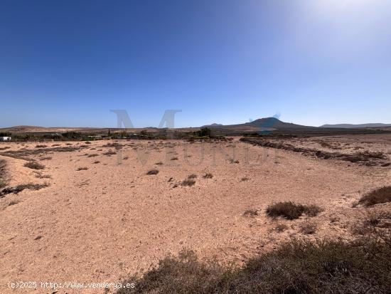 TERRENO RUSTICO EN LA ROSA VIEJA LAJARES - LAS PALMAS