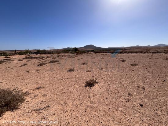 TERRENO RUSTICO EN LA ROSA VIEJA LAJARES - LAS PALMAS