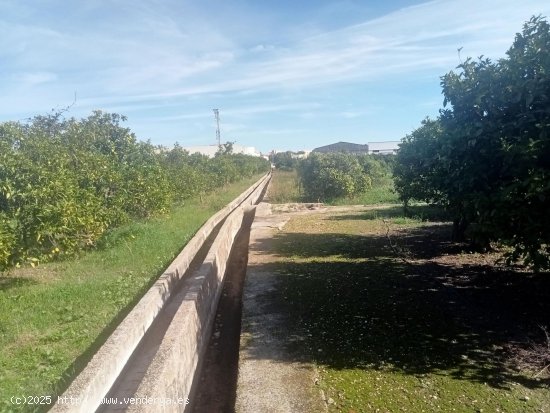 Suelo rústico en venta  en Bellreguard - València