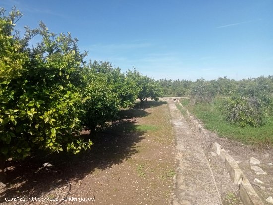 Suelo rústico en venta  en Bellreguard - València