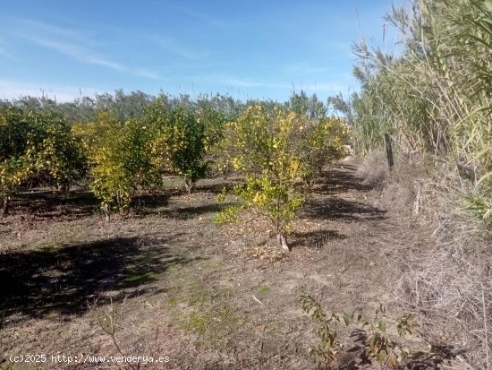 Suelo rústico en venta  en Miramar - València