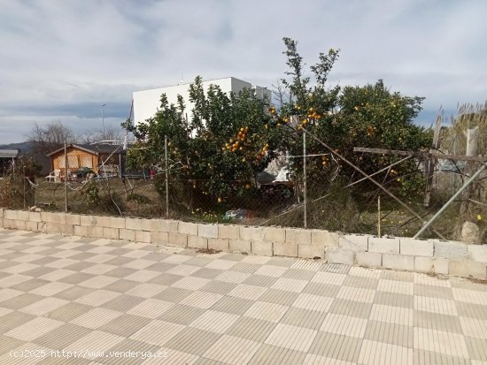 Suelo urbano en venta  en Bellreguard - València