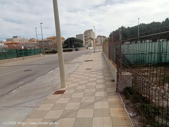 Suelo urbano en venta  en Bellreguard - València