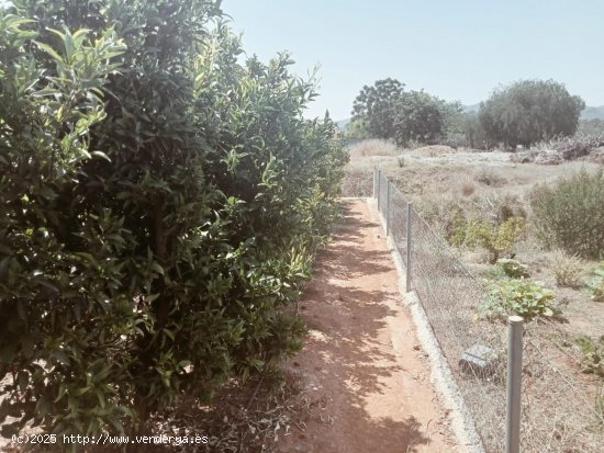 Suelo rústico en venta  en Palma de Gandia - València