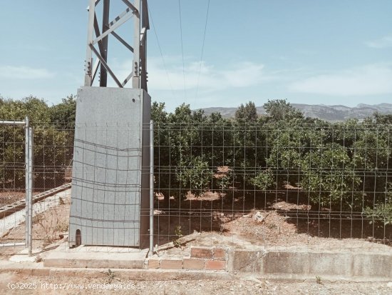 Suelo rústico en venta  en Palma de Gandia - València