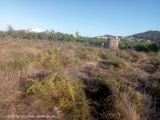 Suelo rústico en venta  en Oliva - València