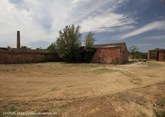 Nave industrial en venta  en Vilafant - Girona