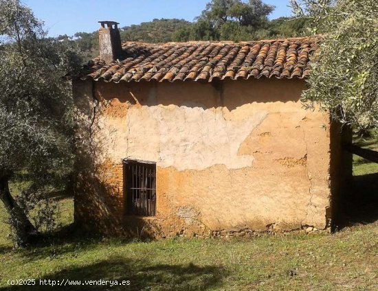 SE VENDE FINCA RUSTICA EN VENTA EN VALDELARCO (HUELVA) ESPAÑA. - Valdelarco