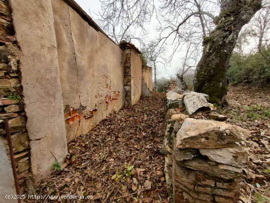 SE VENDE FINCA RUSTICA-AGRÍCOLA EN VENTA EN EL CASTAÑO DEL ROBLEDO (HUELVA) ESPAÑA. -