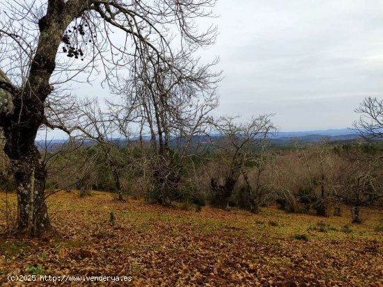 SE VENDE FINCA RUSTICA-AGRÍCOLA EN VENTA EN EL CASTAÑO DEL ROBLEDO (HUELVA) ESPAÑA. -