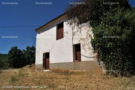 SE VENDE FINCA RUSTICA EN VENTA EN FUENTEHERIDOS (HUELVA) ESPAÑA. - Fuenteheridos