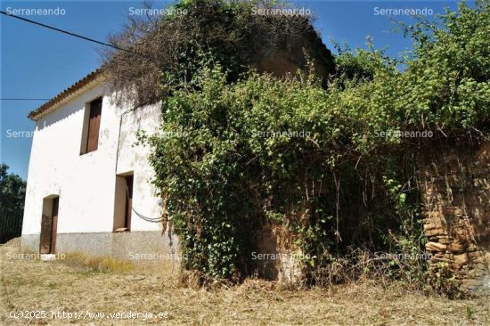 SE VENDE FINCA RUSTICA EN VENTA EN FUENTEHERIDOS (HUELVA) ESPAÑA. - Fuenteheridos