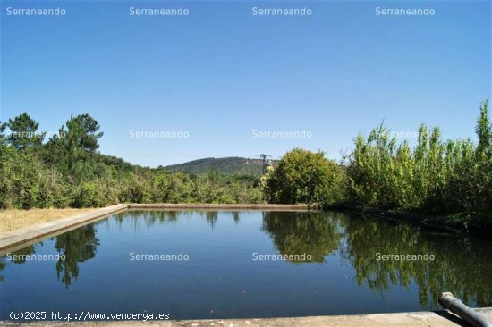 SE VENDE FINCA RUSTICA EN VENTA EN FUENTEHERIDOS (HUELVA) ESPAÑA. - Fuenteheridos