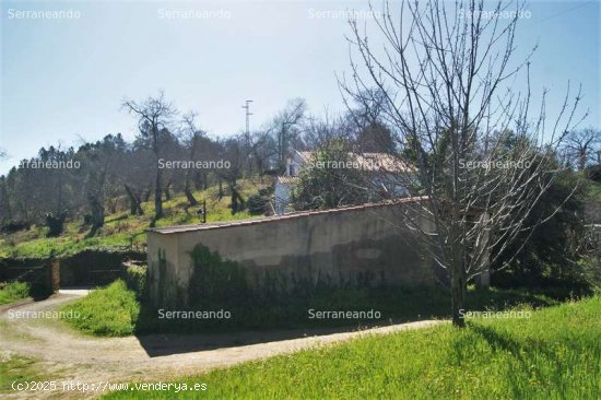 SE VENDE PARCELA URBANIZABLE EN VENTA EN FUENTEHERIDOS (HUELVA) ESPAÑA. - Fuenteheridos