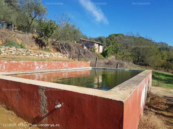 SE VENDE FINCA EN VENTA EN GALAROZA (HUELVA) ESPAÑA. - Galaroza