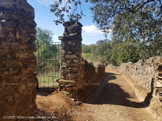 SE VENDE FINCA EN VENTA EN GALAROZA (HUELVA) ESPAÑA. - Galaroza