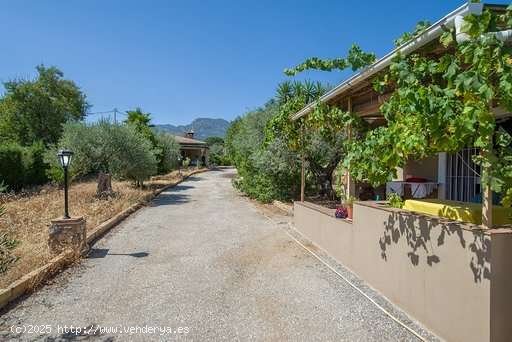 Finca en Alhaurin el Grande - Alhaurín el Grande