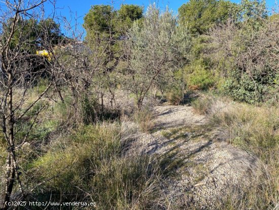 Terreno para construir vivienda unifamiliar+Anexos