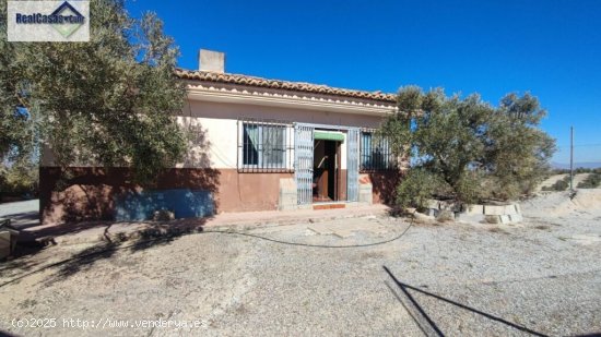 CORTIJO CON TERRENO DE OLIVOS 10.000 M2   EN ESCUZAR