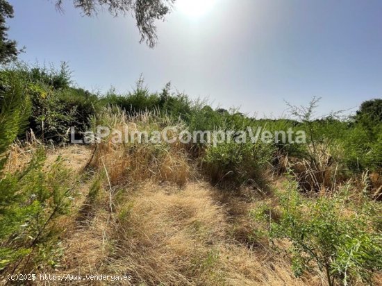 Suelo rústico en Venta en Roque Faro Santa Cruz de Tenerife