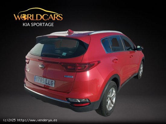 Kia Sportage 1.6 crdi mild hybrid business 2wd - San Vicente del Raspeig