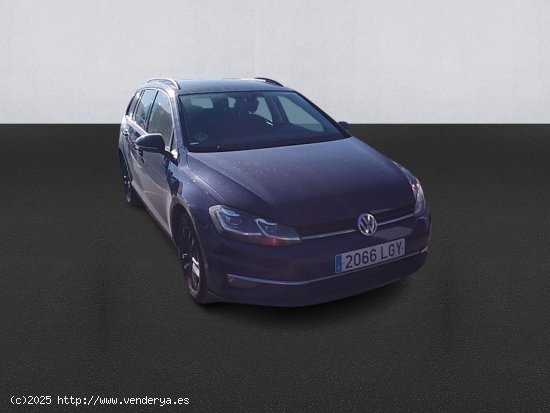 Volkswagen Golf Advance 2.0 Tdi 110kw(150cv) Dsg Variant - Leganés