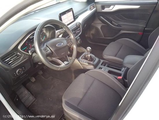 FORD Focus en venta en Pamplona/IruÃ±a (Navarra) - Pamplona/IruÃ±a