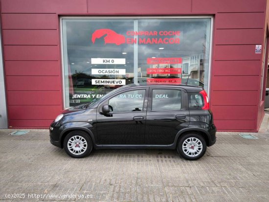 Fiat Panda 1.0 MHEV 5P - Palma