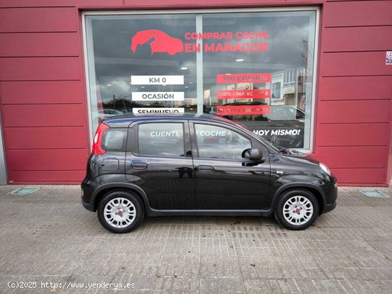 Fiat Panda 1.0 MHEV 5P - Palma