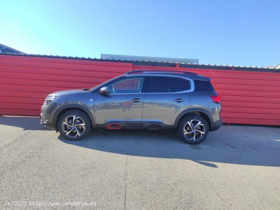 Citroën C5 Aircross 1.5 BLUEHDI 130 S&S C SERIES 5P - Palma