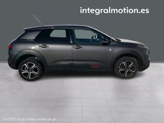 Citroën C4 Cactus BlueHDi 100 S&S C-Series - 