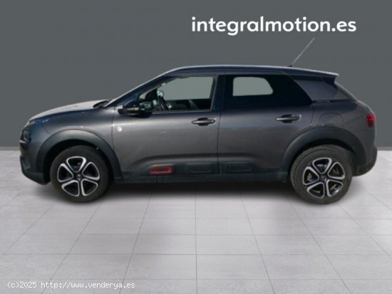 Citroën C4 Cactus BlueHDi 100 S&S C-Series - 