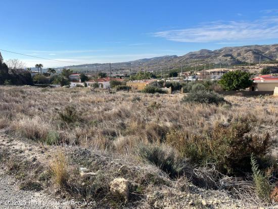 Se vende terreno tras Restaurante Montesol de 6.000 metros cuadrados entre chalets!!! - ALICANTE