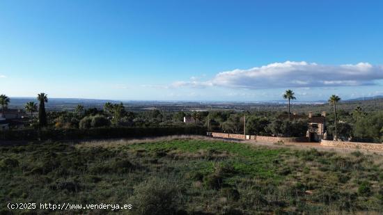  Solar con vistas al mar de 7.000 m2 en Puntiró - BALEARES 