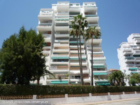  APARTAMENTO LA SAFOR. ALQUILER TEMPORADA VERANO. PLAYA DE GANDIA - VALENCIA 