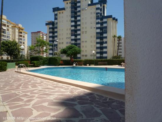 APARTAMENTO LA SAFOR. ALQUILER TEMPORADA VERANO. PLAYA DE GANDIA - VALENCIA