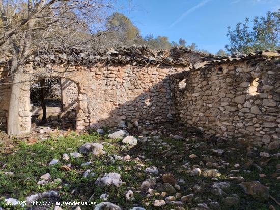 Bonita finca rústica con corral - ALICANTE