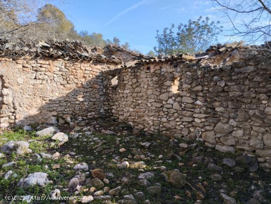 Bonita finca rústica con corral - ALICANTE