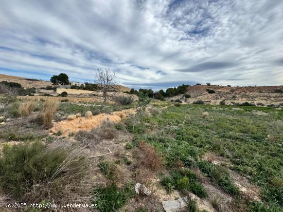 FINCA RUSTICA DE 23000M2 DONDE SE PUEDE EDIFICAR UNA CASA DE CAMPO - ALICANTE