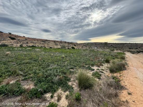 FINCA RUSTICA DE 23000M2 DONDE SE PUEDE EDIFICAR UNA CASA DE CAMPO - ALICANTE